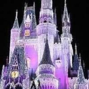 Meet your Posher, Bridget